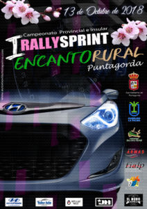 cartel rally din a3