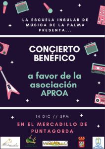 cartel concierto solidario